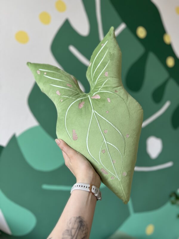 zdjęcie poduszki liścia syngonium confetti