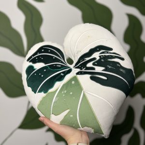 Philodendron Gloriosum Tricolor