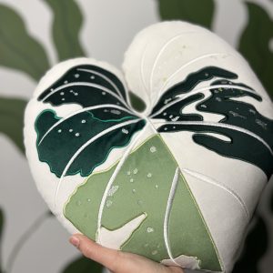 Philodendron Gloriosum Tricolor