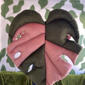 Monstera mata gigant variegata