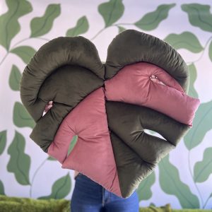 Monstera mata variegata mała