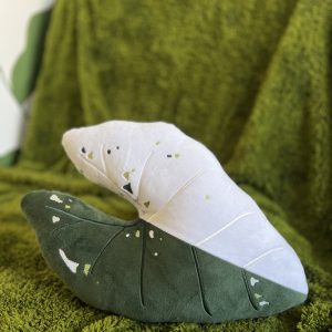 Alokazja Frydek Variegata pluszowa