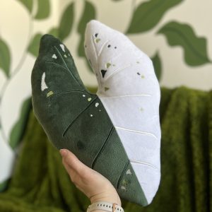 Alokazja Frydek Variegata pluszowa