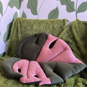 Monstera mata gigant variegata