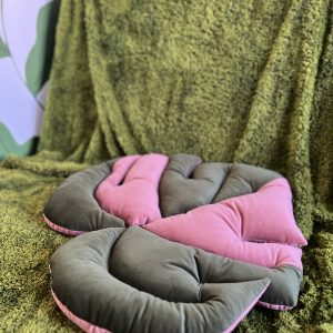 Monstera mata variegata mała