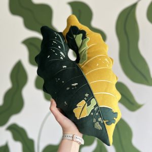 Alocasia Chantrieri Aurea Variegata