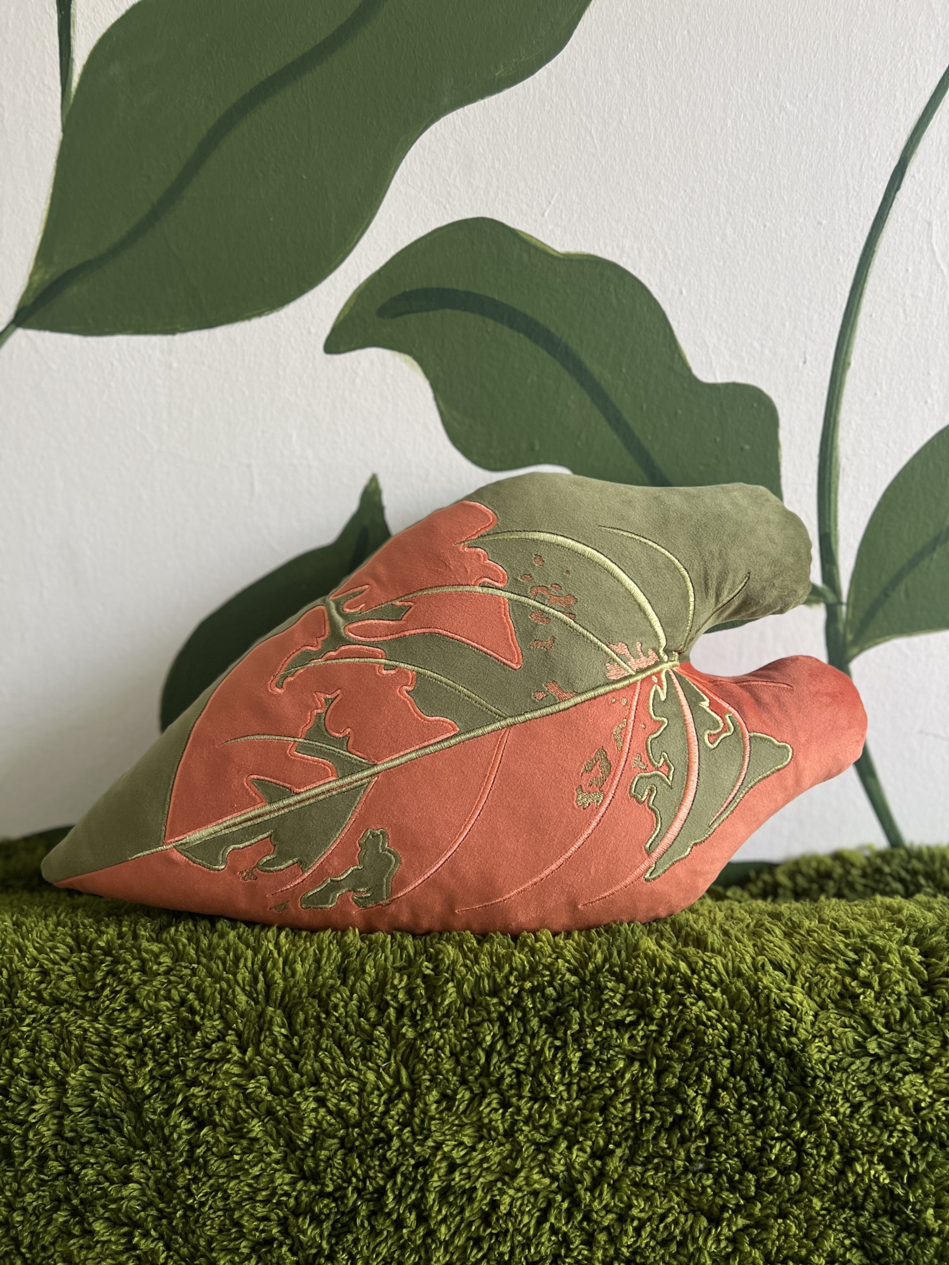 Philodendron Melanochrysum Variegata - obrazek 6