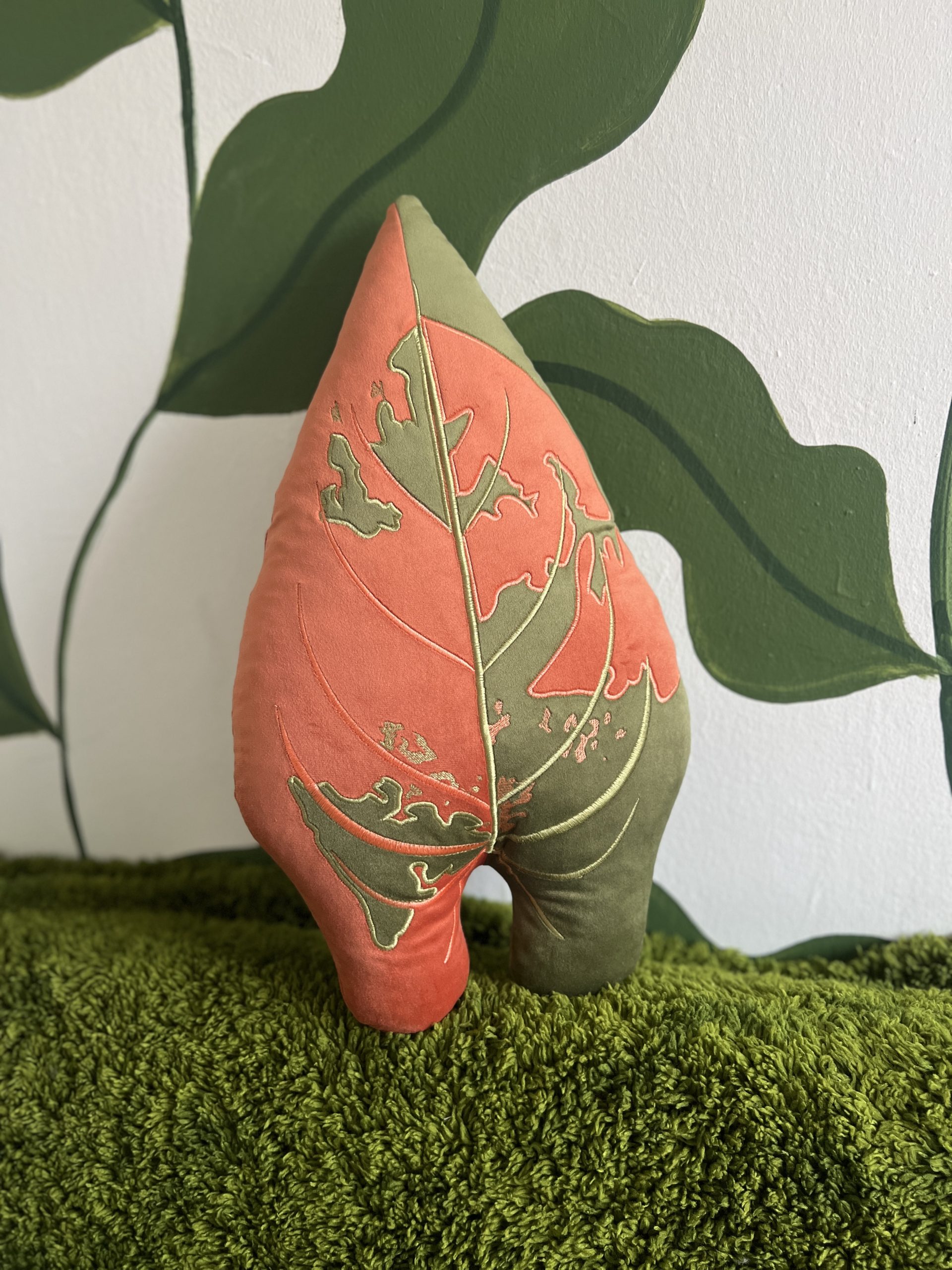 Philodendron Melanochrysum Variegata - obrazek 5