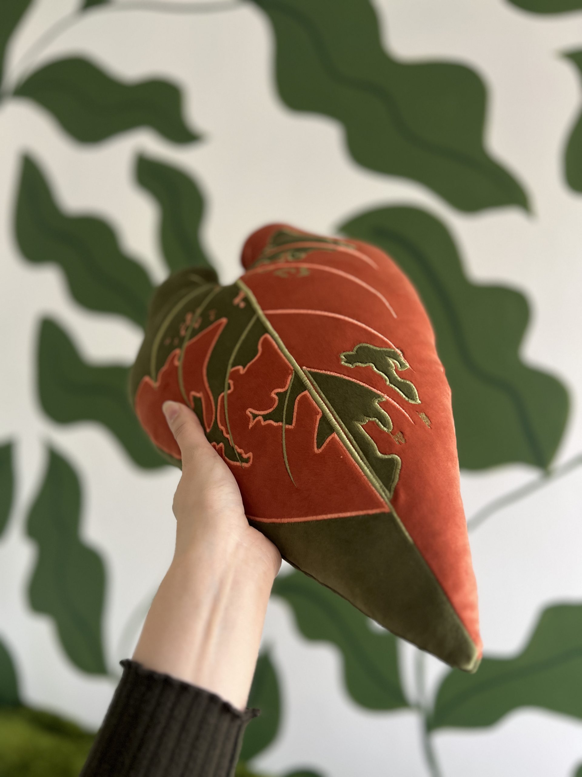 Philodendron Melanochrysum Variegata - obrazek 4