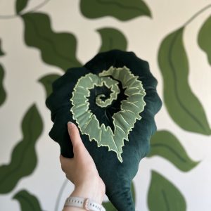 Begonia Rex Escargot