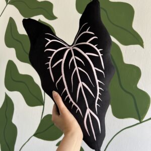 Anthurium Hybryda